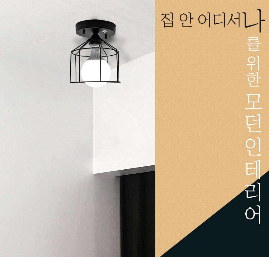 집안