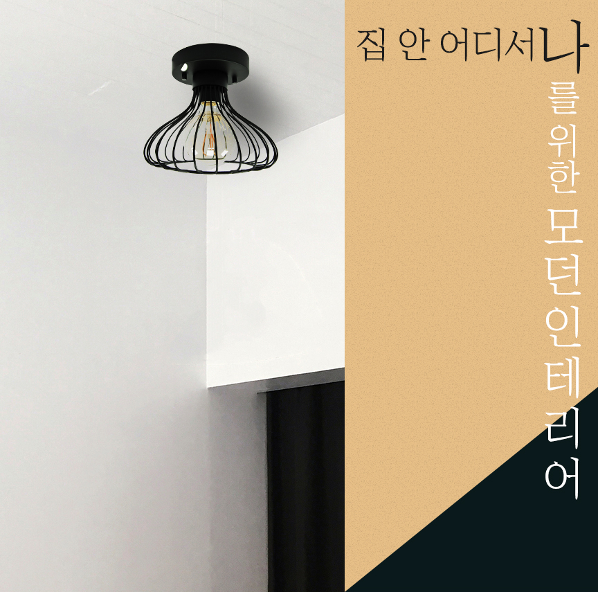 집안