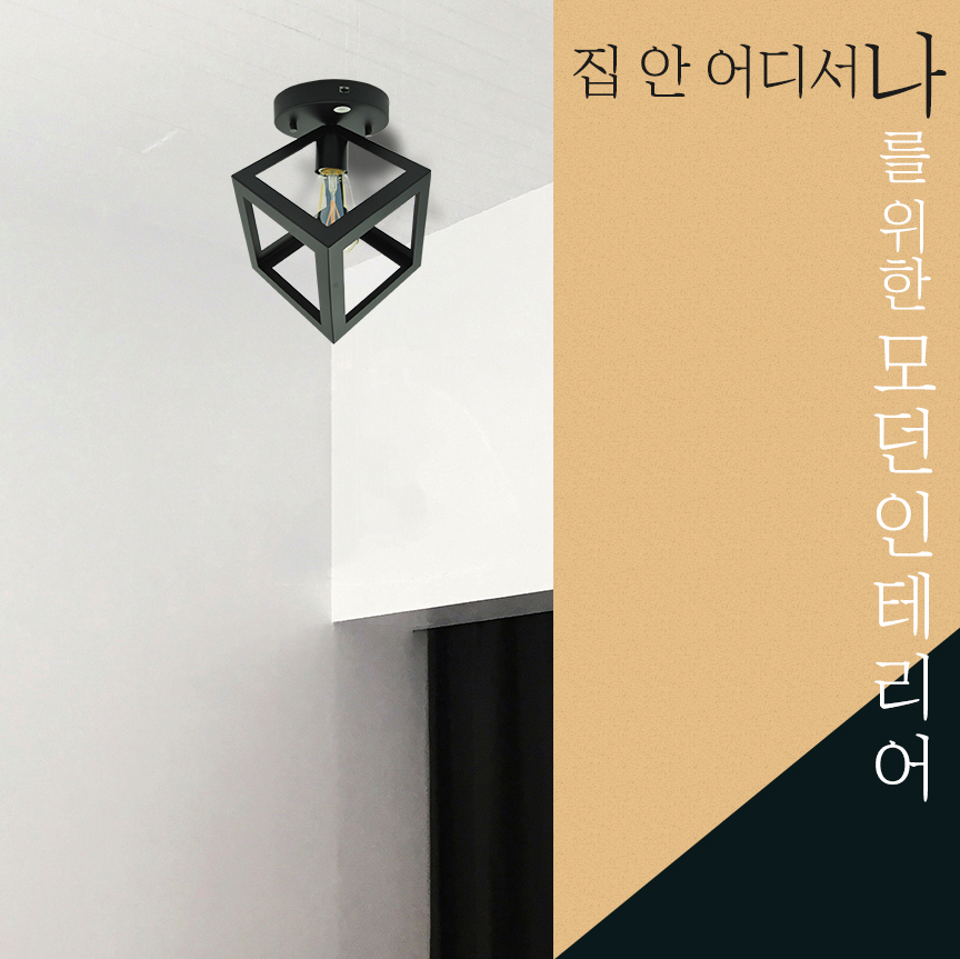 집안